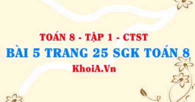 Bài 5 trang 25 SGK Toán 8 Tập 1 Chân trời sáng tạo